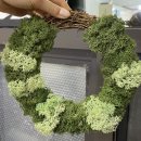 백제동물병원 이미지