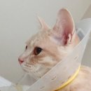 로하스일산병원 이미지