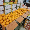 상지식자재할인마트
