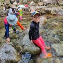 청운김밥 | 여름엔 백운계곡 청운쉼터 카페 이용 후기