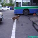 남도버스 이미지