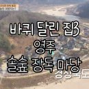 tvN &lt;바퀴달린 집3&gt; 11회 경상북도 영주 &#34;무섬마을&#34;, &#34;효마루전통한과&#34;, &#34;만포농산(무량수)&#34;