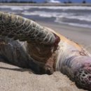 (주)거북 이미지