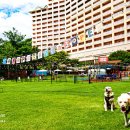 소노펫 동물병원 이미지