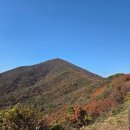 계양산 | 지금 가기 좋은 계양산 단풍 등산 후기(박물관 코스, 주차)