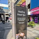 영양 문화의집 | 노원역미용실 클리닉받고 온 찐후기 준오헤어 노원문화의거리점(ft. 단발펌)