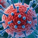 화인가정의학과의원 이미지