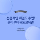 큰마루 태권도 교육관 이미지