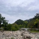 설악산 막국수 이미지