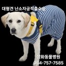 삼화동물병원