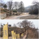 공주 가볼만한곳 공산성, 마곡사 등 관광택시타고 돌아본 공주 여행코스