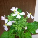 익산시청 이미지