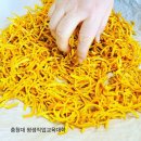 한방꽃차 소믈리에 교육과정 이미지