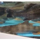 모래시계 펜션 이미지