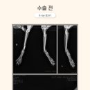 블리스 동물의료센터 네이버블로그