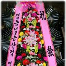 이코노마트 Daum카페