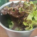 영도식당 | 영도 맛집 추천 부산 한식이 맛있는 용감한 식당 후기