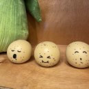 사북시장 청년몰 | [사북]사장님이 귀엽고 예쁜거 찐 덕후, 사북시장 청년몰 기념품샵 다희마켓