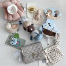 룩수스베이비 직구, 콩제슬래드 <b>캠</b><b>캠코</b><b>펜</b><b>하겐</b> 등 감성육아템