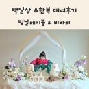 영통로61번길 | [백일상] 아기백일상 빛날테이블 추천 백일한복 비바티대여 후기