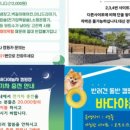 바다야놀자 이미지