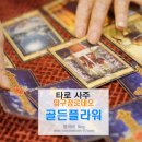 압구정로데오 타로 신기방기한 골든플라워