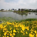 중앙호수공원 이미지