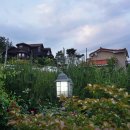 마레펜션 이미지