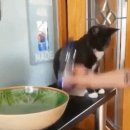 클리프PC방 이미지