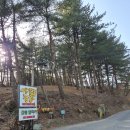 이정표농장 | 강원도 대관령, 아기동물농장 체험 후기