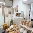 성사진관 | 만 7살 기념 성장촬영, 성남 위례사진관 내돈내산 후기