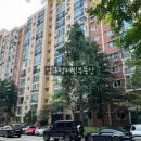 압구정-117 이미지