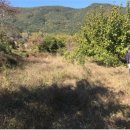 진전면927 이미지