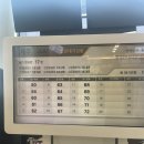 이니스프리이마트오산 | 20년만에 다녀온 3박 4일 제주도