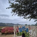 로하스캠핑 | 연천 키즈캠핑장, 로하스캠핑장에서 할로윈캠핑 후기