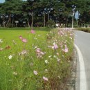 남하심소정 이미지