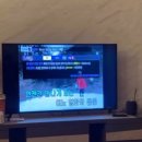 스테이상아 이미지