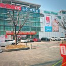 제일유통 | 대구 산격동 유통단지 다이소 800평대 쇼핑 후기 (애견동반, 주차, 맛집까지)