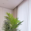하이엔드세탁 | [대구 수성구 커튼] 동간 거리 좁은 빌라 사생활 완벽 보호! 대리석 거실 하이엔드 맞춤 후기