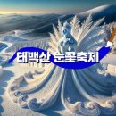 2025년 140차 행복테마여행 태백산 이미지