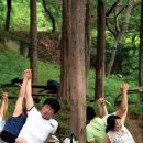 기적의힐링숲 이미지