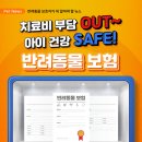 분당24시동물의료센터 이미지