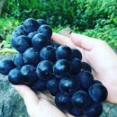 정문길 110 이미지