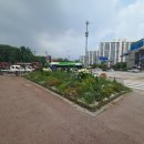 철산동 광성초등학교 앞 이미지