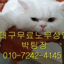 변호사홍윤호법률사무소