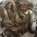 오천3길 | 순천 대부수산 오천점 - 순천 대하 맛집 대하 포장 후기