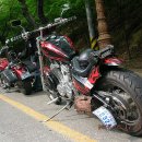 도람도람 이미지