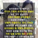 ＜ 부평승무원학원 ＞ 못생긴승무원 이미지