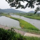 금강메기매운탕 이미지