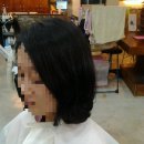 산뜻하개 이미지